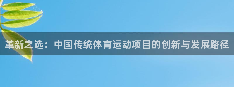 注册J9官方正版app：革新之选：中国传统体育运动项目的创新