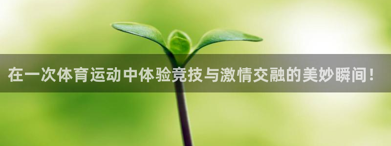 J9官网下载软件：在一次体育运动中体验竞技与激情交融