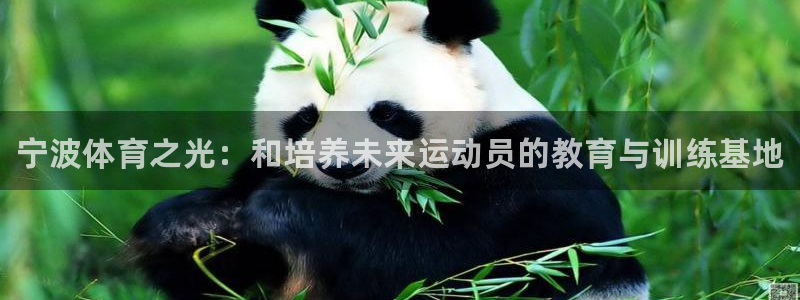 J9官方正版app集团E.ON：宁波体育之光：和培养