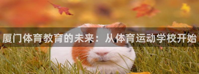 J9官网下载平台是正规平台吗：厦门体育教育的未来：从