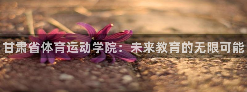 J9官网下载招商电话：甘肃省体育运动学院：未来教育的