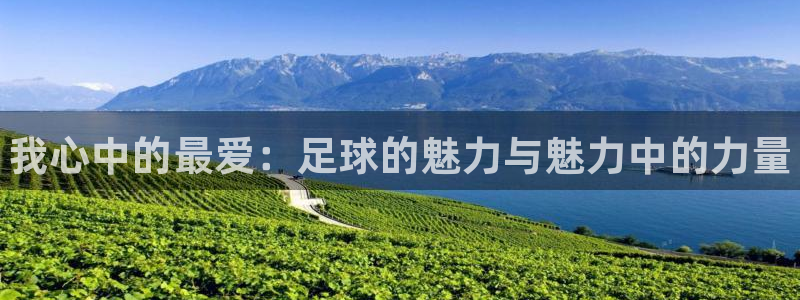 J9官方正版app神州：我心中的最爱：足球的魅力与魅