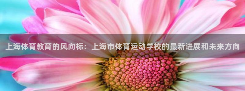 J9官网下载招商电话号码：上海体育教育的风向标：上海