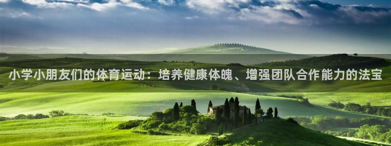 J9官网下载招商电话地址查询：小学小朋友们的体育运动