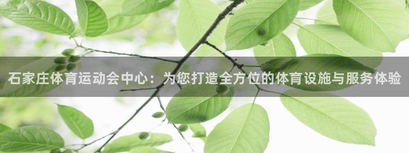 J9官网下载招商电话是多少：石家庄体育运动会中心：为