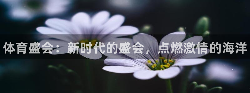 J9官网下载平台是正规平台吗安全吗：体育盛会：新时代