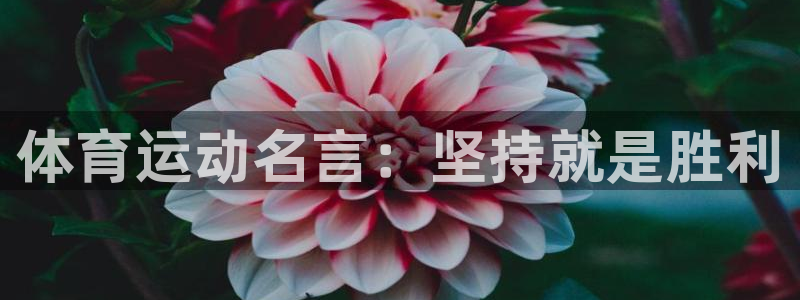 J9官网下载招商电话地址是多少