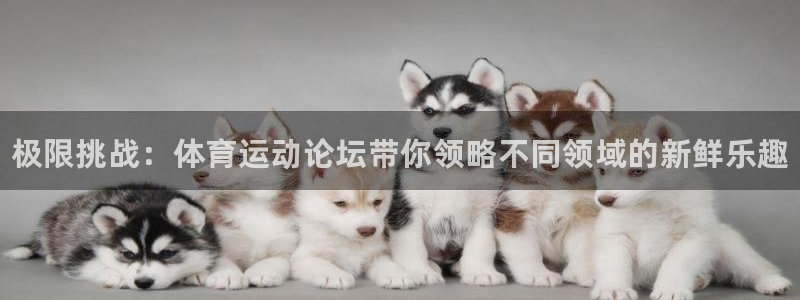 J9官方平台体育
