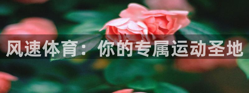 J9官网下载