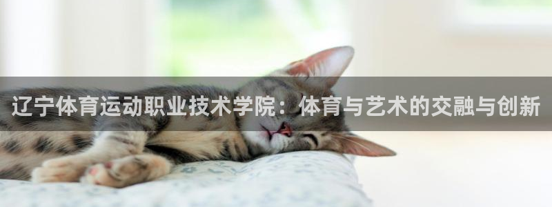 J9官方正版app娱乐是那个系列的台子：辽宁体育运动职业技术