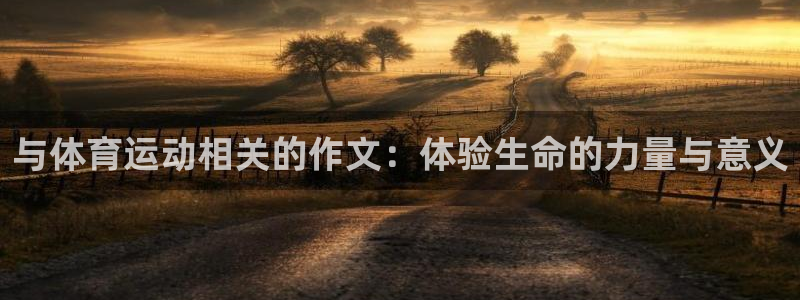 J9官方正版app娱乐平台：与体育运动相关的作文：体验生命的