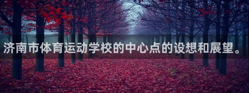 J9官方正版app娱乐代理怎么样：济南市体育运动学校的中心点