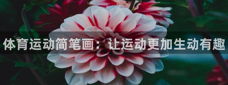 J9官网下载平台：体育运动简笔画：让运动更加生动有趣