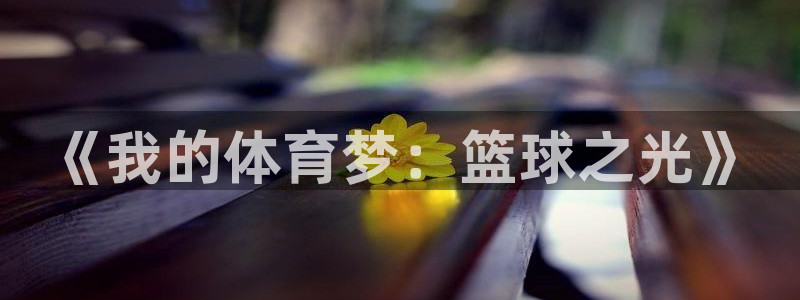 J9官网下载招商电话地址是多少：《我的体育梦：篮球之光》