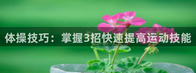J9官网下载招商电话号码查询：体操技巧：掌握3招快速
