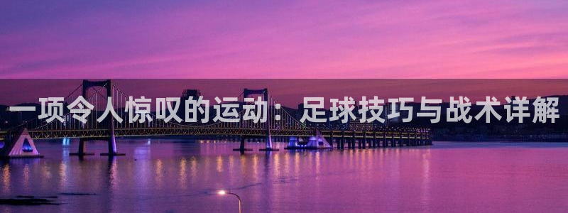 J9官网下载平台注册流程图：一项令人惊叹的运动：足球