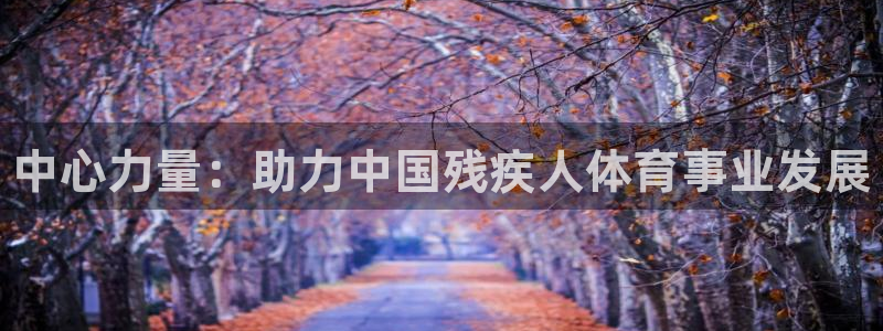 J9官方正版app娱乐下载：中心力量：助力中国残疾人