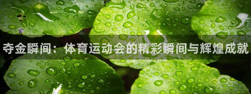 J9官网下载招商电话号码查询：夺金瞬间：体育运动会的