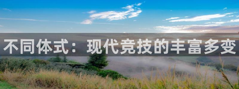 J9官方正版app集团E.ON：不同体式：现代竞技的