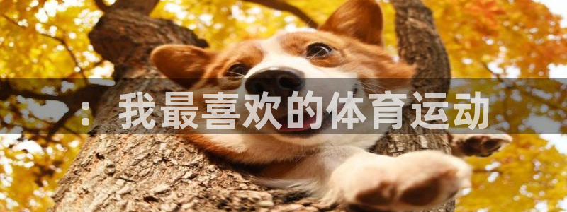 J9官网下载招商电话号码是多少