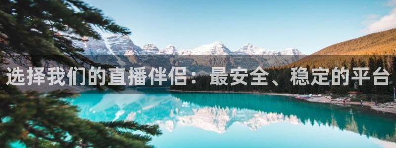 鲸鱼体育直播app官网下载：选择我们的直播伴侣：最安全、稳定的平台