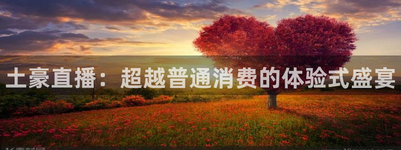 鲸鱼体育app官方下载最新版：土豪直播：超越普通消费的体验式盛宴