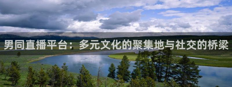 鲸鱼直播官网：男同直播平台：多元文化的聚集地与社交的桥梁