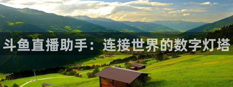 鲸鱼体育在线直播免费：斗鱼直播助手：连接世界的数字灯塔