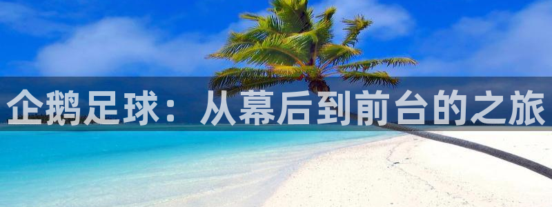 鲸鱼tv直播：企鹅足球：从幕后到前台的之旅