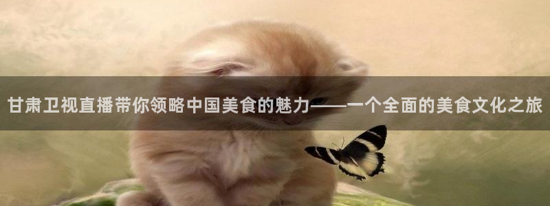 球友直播nba在线直播：甘肃卫视直播带你领略中国美食的魅力——一个全面的美食文化之旅