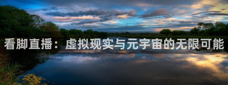 足球鲸鱼直播：看脚直播：虚拟现实与元宇宙的无限可能