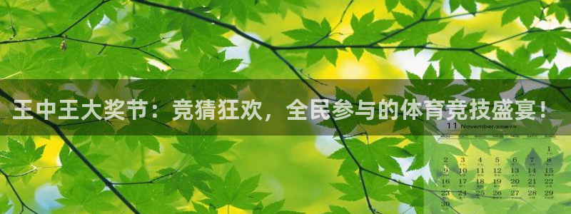 鲸鱼tv直播：王中王大奖节：竞猜狂欢，全民参与的体育竞技盛宴！