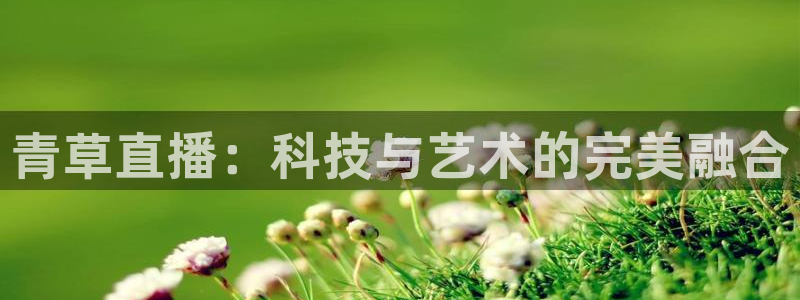 鲸鱼体育高清直播：青草直播：科技与艺术的完美融合